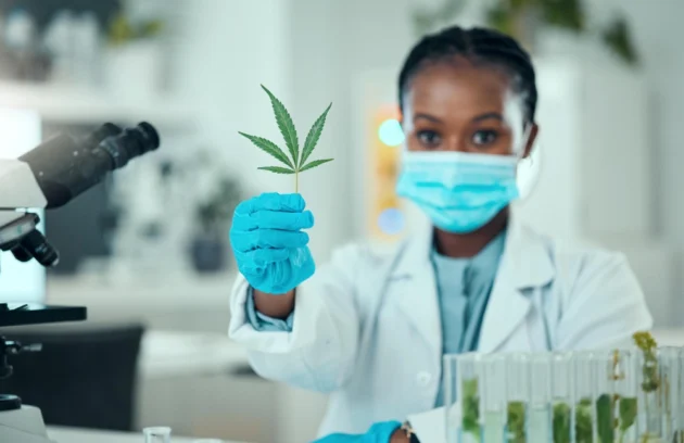Certified Medical Cannabis Prescriber