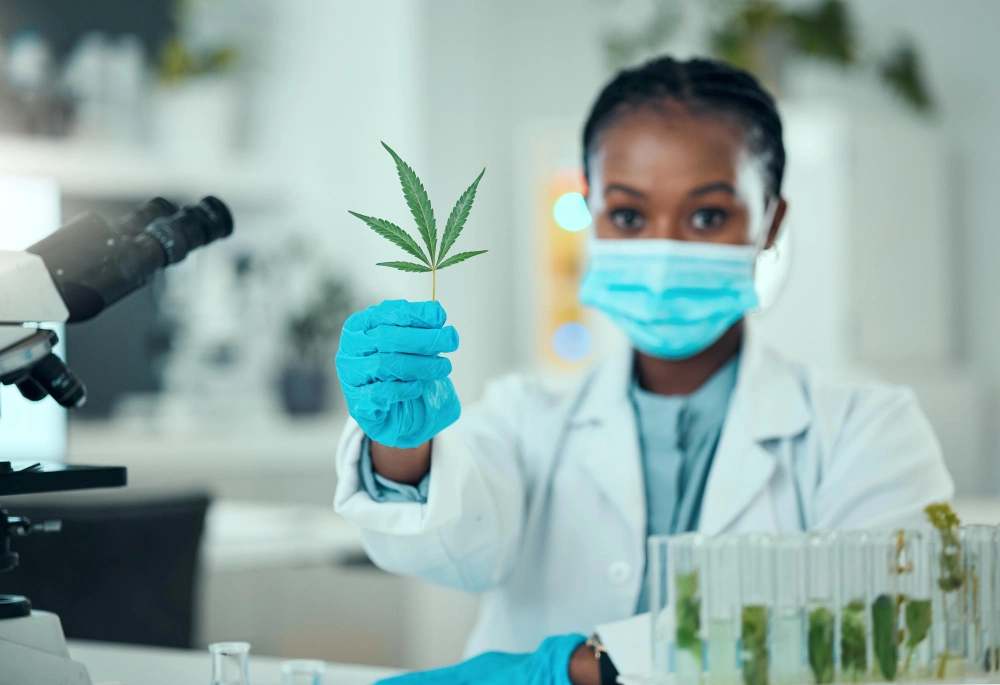 Certified Medical Cannabis Prescriber